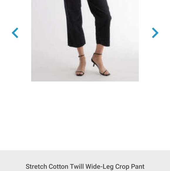 Quince BLACK Stretch Twill Cotton Wide Leg Pants - Picture 2 of 7